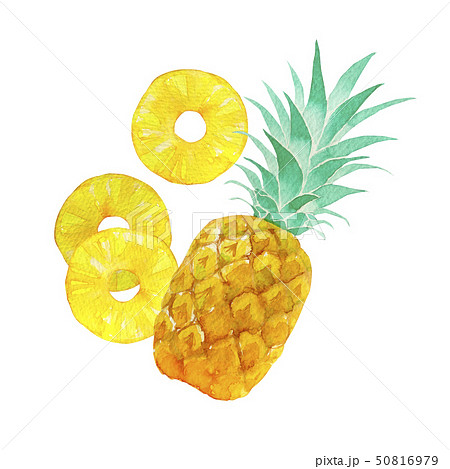 夏 トロピカルフルーツ パイナップル 水彩 イラストのイラスト素材