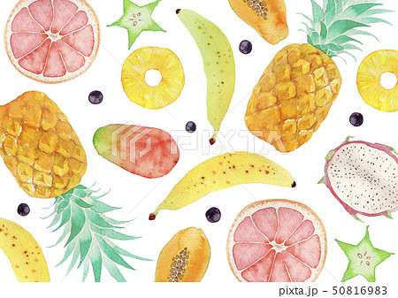 夏 背景 テキスタイル トロピカルフルーツ 水彩 イラストのイラスト