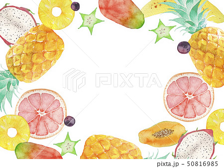 夏 背景 フレーム トロピカルフルーツ 水彩 イラストのイラスト素材
