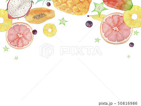 夏 背景 フレーム トロピカルフルーツ 水彩 イラストのイラスト素材