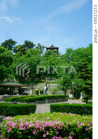 丸岡城 丸岡城 50817253