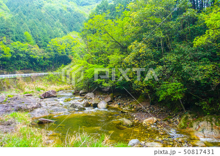 柏原渓谷 50817431