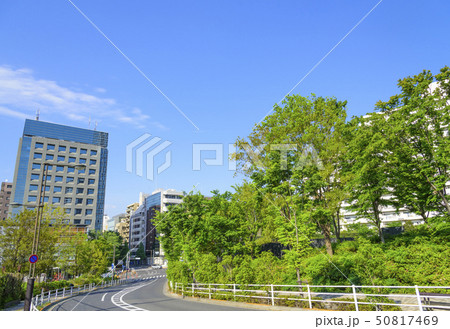 大久保スポーツプラザ交差点の風景(東京都新宿区) 大久保スポーツプラザ交差点の風景(東京都新宿区) 50817469