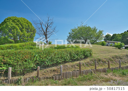 【助太山古墳】 大阪府藤井寺市道明寺6 50817515