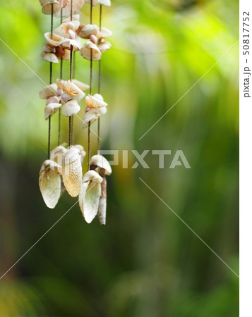 old sea shell hanging mobile close-up outdoor 50817752