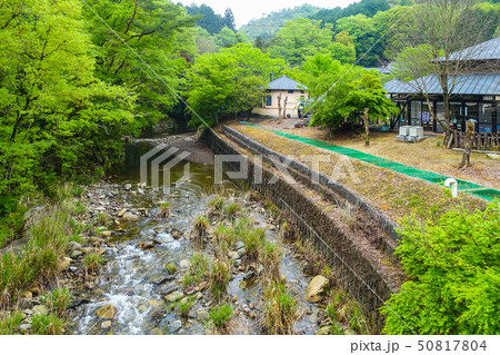 柏原渓谷キャンプ村 50817804