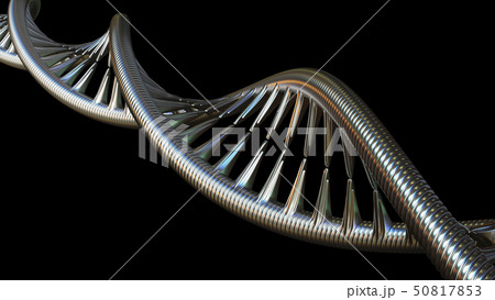 Conceptual DNA molecule model, 3D rendering 50817853