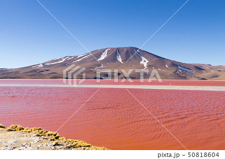 Laguna Colorada view, Bolivia 50818604