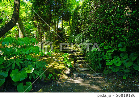 仙厳園　鹿児島県 50819136