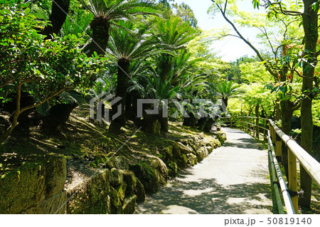 仙厳園 鹿児島県 仙厳園 鹿児島県 50819140