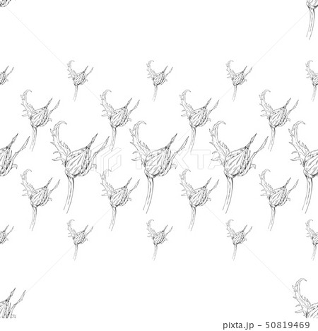 Seamless pattern ink sketch 50819469