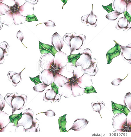 Flower Seamless Pattern hand painted in watercolor 50819795