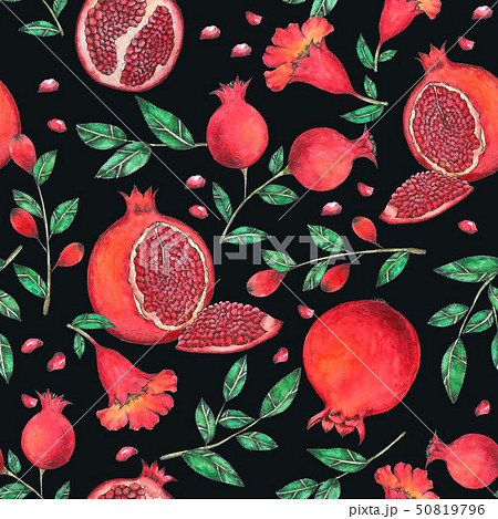 Pomegranate Seamless Pattern hand paint watercolor 50819796