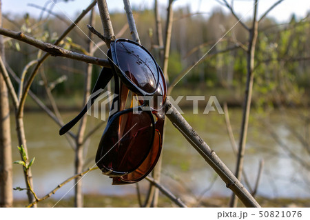 Sun protective glasses on a tree branch 50821076