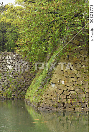 福井市内散歩：福井城　内堀と石垣 50821773