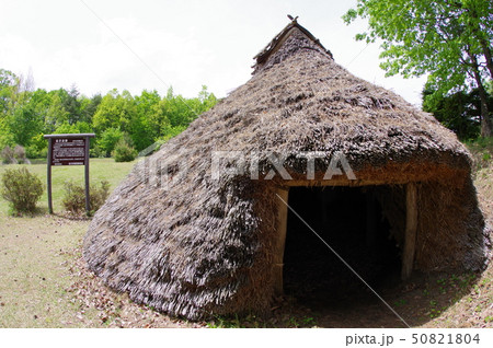 信州　安曇野　松川村　竪穴式桜沢遺跡　縄文時代中期の住居跡　桜沢いせき公園として縄文住居を再現 50821804