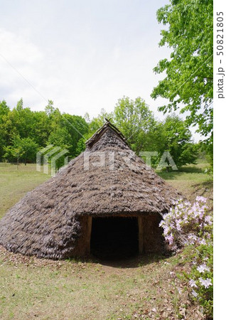 信州 安曇野 松川村 竪穴式桜沢遺跡 縄文時代中期の住居跡 桜沢いせき公園として縄文住居を再現 縦 信州 安曇野 松川村 竪穴式桜沢遺跡 縄文時代中期の住居跡 桜沢いせき公園として縄文住居を再現 縦 50821805