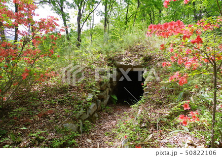 信州 安曇野 松川村 祖父が塚古墳(じいがづか) 石室のある古墳時代後期の円墳 村指定史跡 信州 安曇野 松川村 祖父が塚古墳(じいがづか) 石室のある古墳時代後期の円墳 村指定史跡 50822106