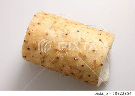 長芋。 長芋。 50822354