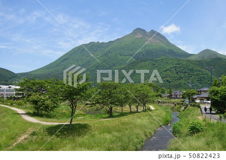 湯布院盆地から眺める由布岳 50822423