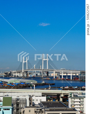 港の見える丘公園 50822567