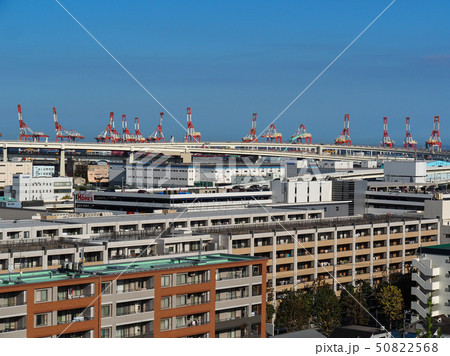 港の見える丘公園 50822568