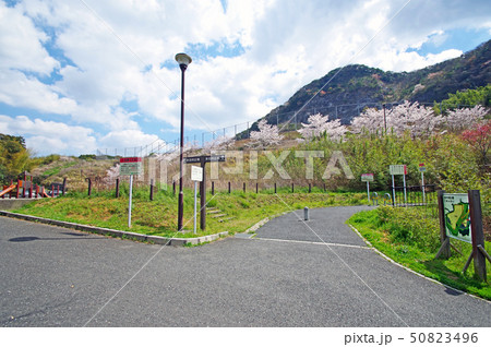 志井の森公園 志井の森公園 50823496