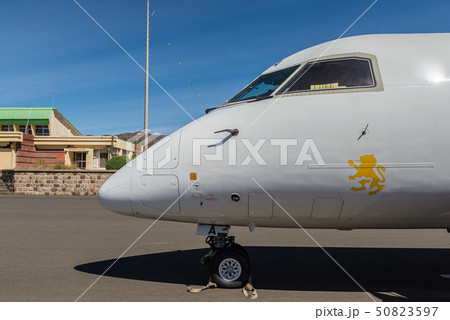 プロペラ機　飛行機　 50823597