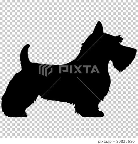スコティッシュテリア シルエットのイラスト素材