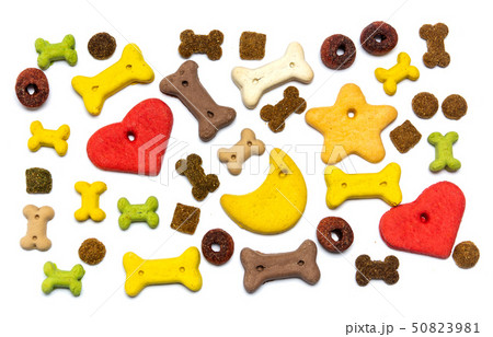 Colorful dog food flat lay background 50823981