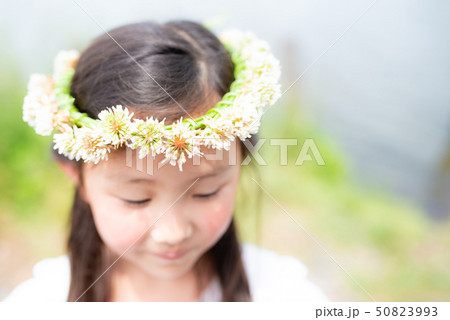 シロツメクサの冠をかぶった女の子 シロツメクサの冠をかぶった女の子 50823993