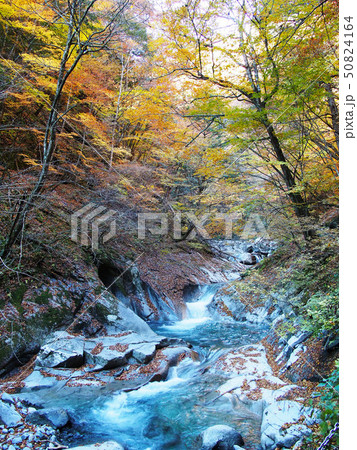 西沢渓谷 50824164