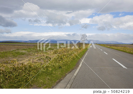 道路 道路 50824219