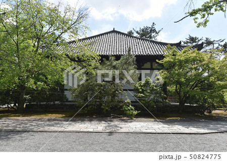 広隆寺　講堂 50824775