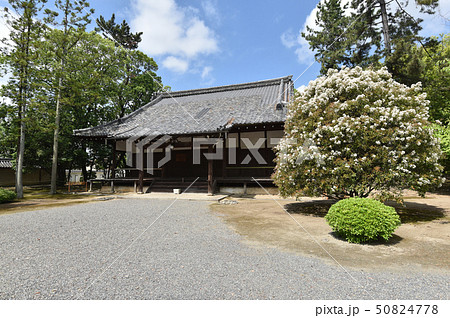 広隆寺 薬師堂 広隆寺 薬師堂 50824778