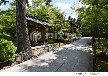 広隆寺　新霊宝殿 50824980