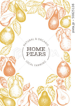 Pear design template. Hand drawn vector garden Pear design template. Hand drawn vector garden 50825136