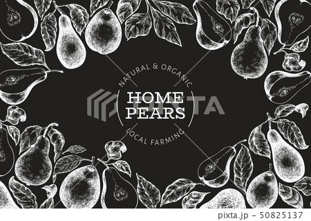 Pear design template. Hand drawn vector garden Pear design template. Hand drawn vector garden 50825137