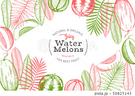 Watermelons, melons and tropical leaves design 50825145