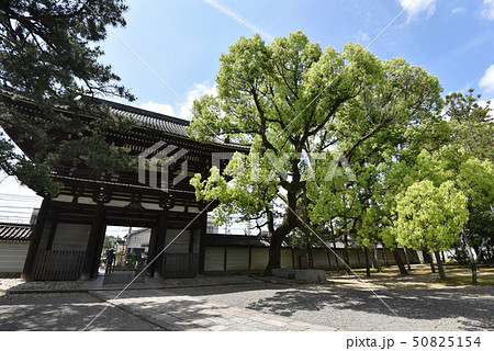 広隆寺　楼門 50825154