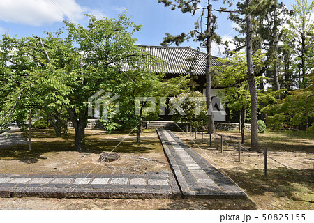 広隆寺.　講堂 50825155