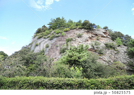 和歌浦 奠供山 和歌浦 奠供山 50825575