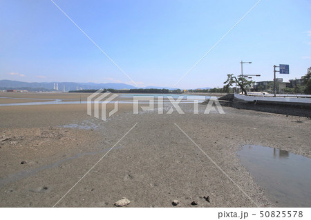 和歌浦 片男波干潟 和歌浦 片男波干潟 50825578