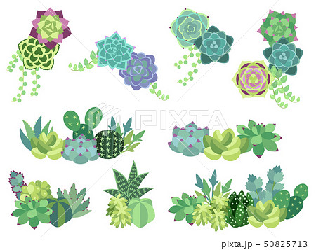 Set Of Succulents Planted Decorative Frame Stock Illustration