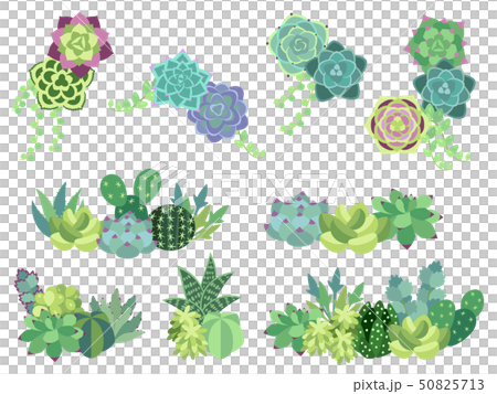 Set of succulents planted decorative frame illustration set 50825713