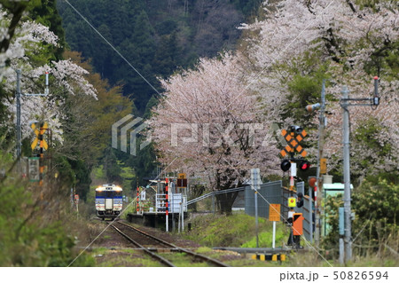 春の咲花駅（磐越西線） 50826594