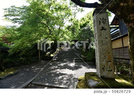 新緑の安楽寺　山門　 50826729