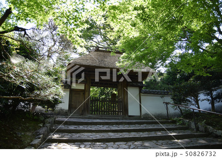 新緑の安楽寺　山門　 50826732