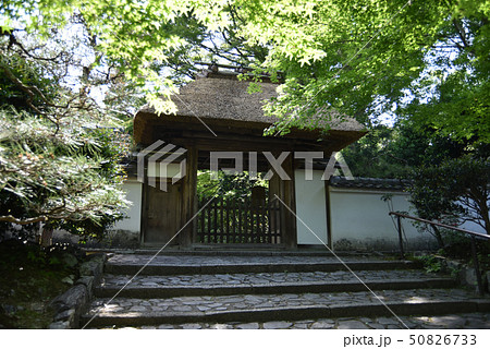 新緑の安楽寺　山門　 50826733