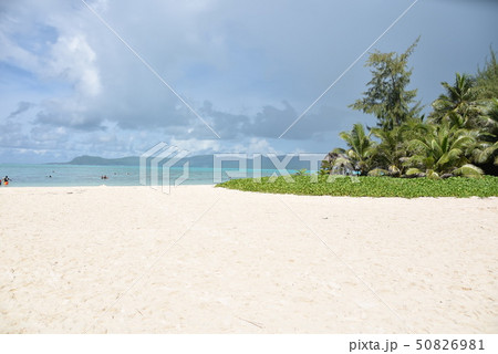 常夏の楽園 常夏の楽園 50826981